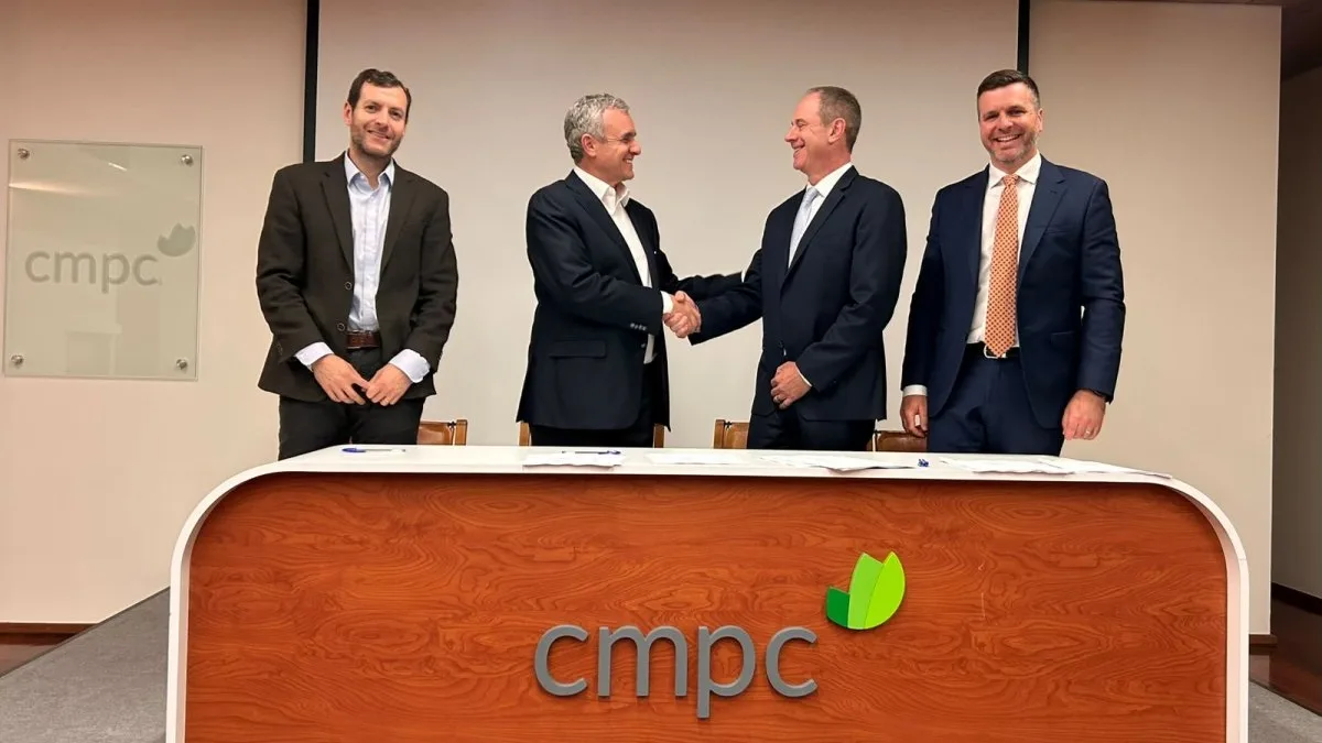 CMPC vende 60.000 hectáreas forestales en el Maule a J.P. Morgan por US$365,5 millones
