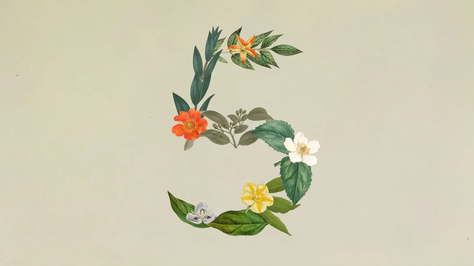 Anthropic lanza Claude Sonnet 5.5 y mantiene el precio de Sonnet 5