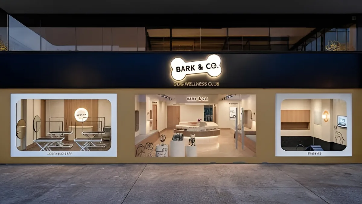 Hotel, spa y guardería para perros: así es Bark & Co, el club de bienestar canino