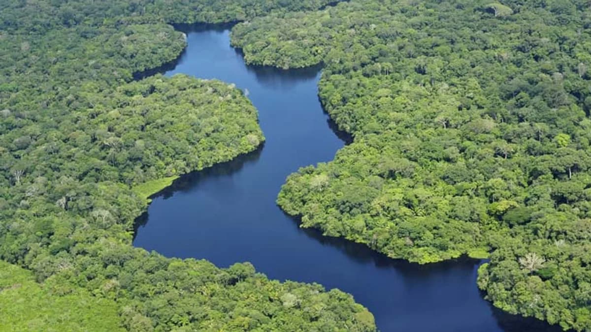 BID Lab pone US$1 millón en el fondo de deuda de Amazonia Impact Ventures
