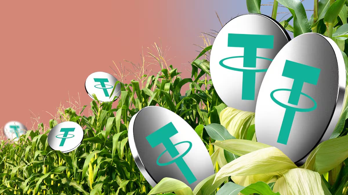 Una de las empresas Crypto más grandes del mundo desembolsa 3.000 millones de USD en Argentina y compra una de las principales empresas de Agro del país